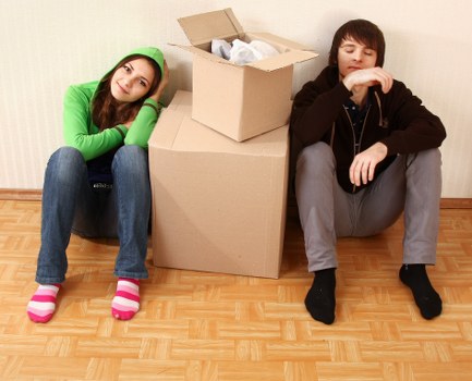 Customer service team reviewing a removals complaint